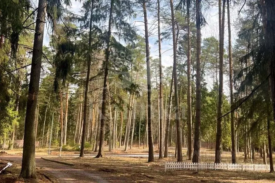 Участок в Московская область, Одинцовский городской округ, д. Маслово, ... - Фото 0