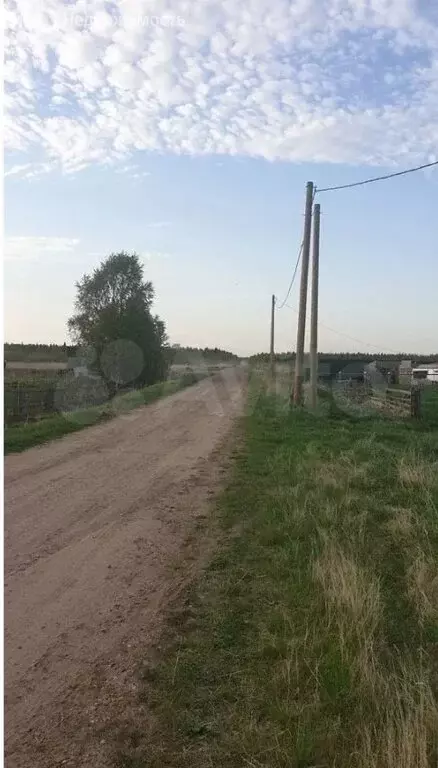 Участок в Архангельская область, Приморский муниципальный округ, ... - Фото 1