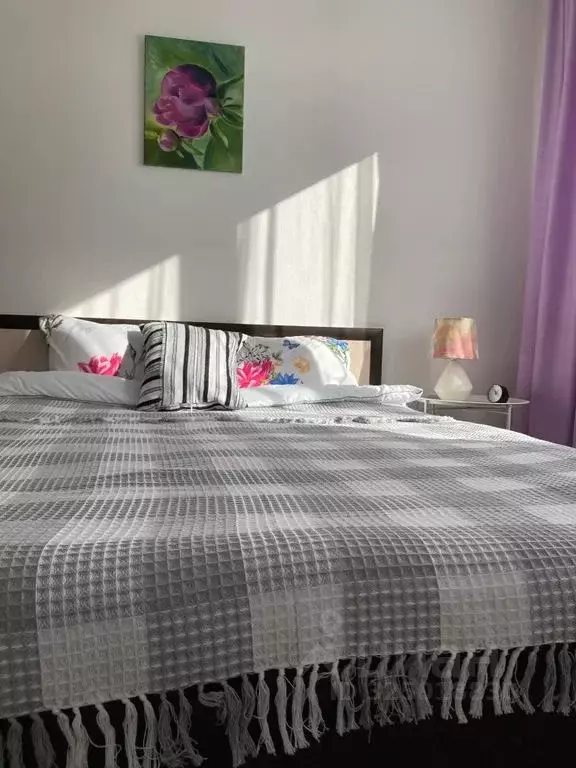 1-к кв. Санкт-Петербург ул. Пахомовская, 22 (33.0 м) - Фото 2