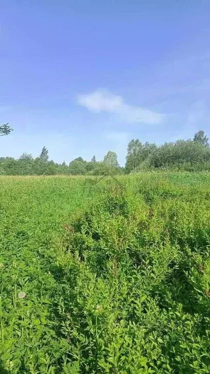 Участок в Новгородская область, Крестецкий муниципальный округ, д. ... - Фото 2