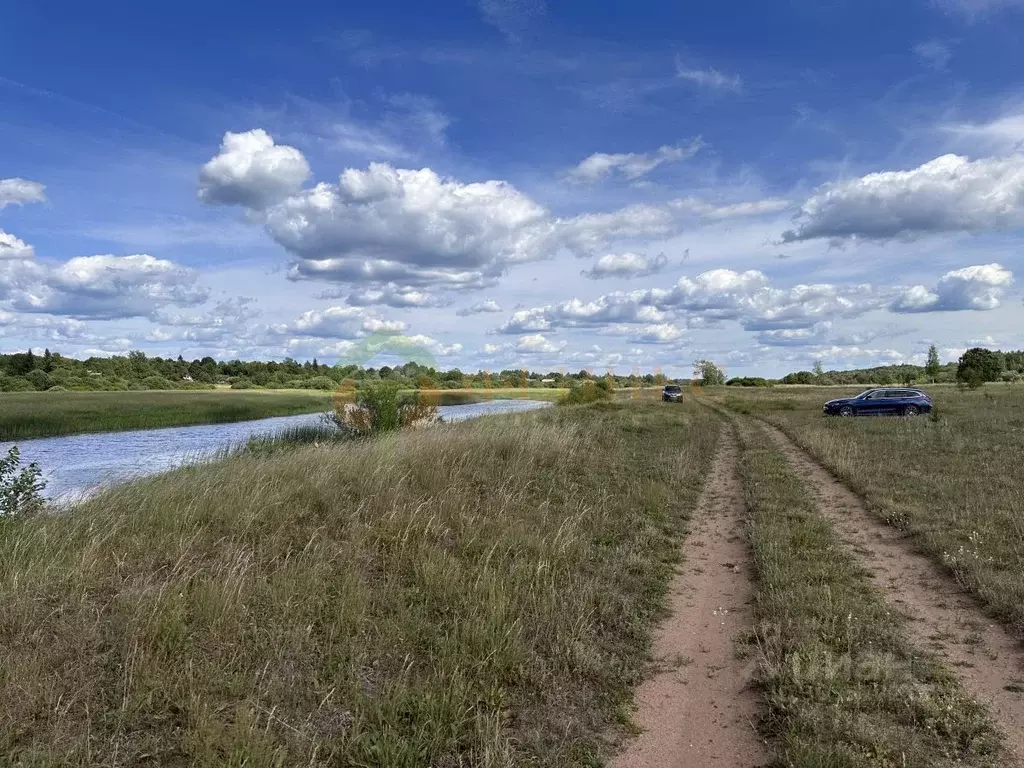 Участок в Ленинградская область, Лужский район, Дзержинское с/пос, д. ... - Фото 0