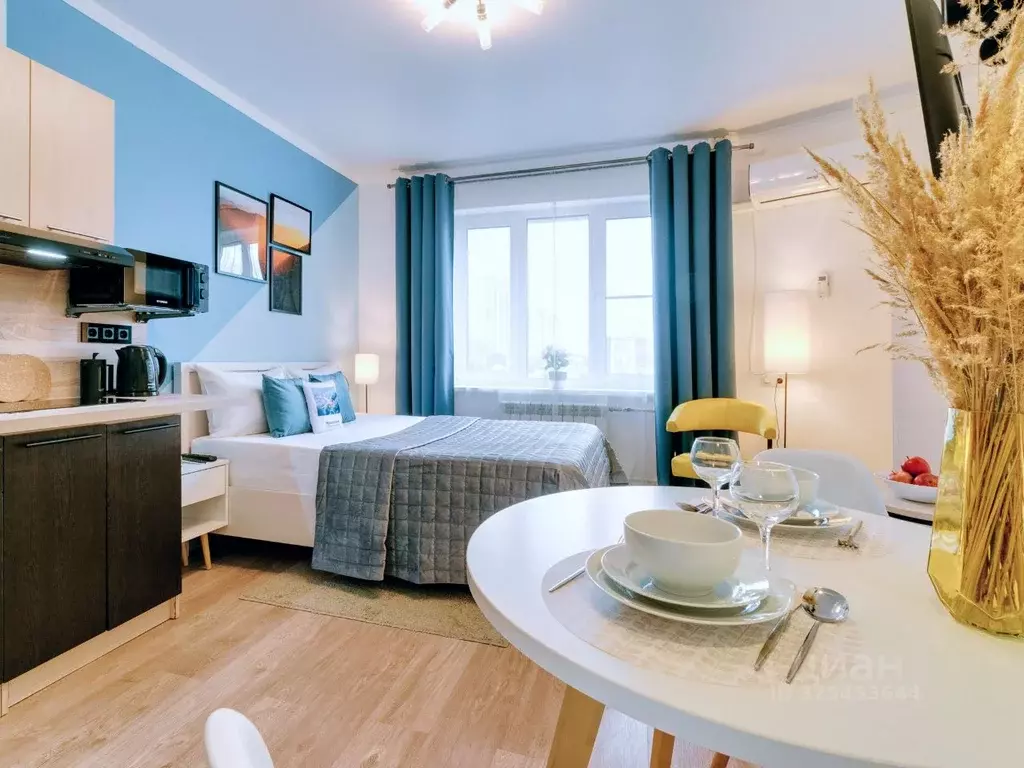 Студия Московская область, Жуковский ул. Гагарина, 62 (20.0 м) - Фото 1