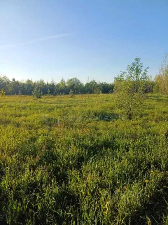 Участок в Кировская область, Киров городской округ, д. Загоски ул. 4-я ... - Фото 1