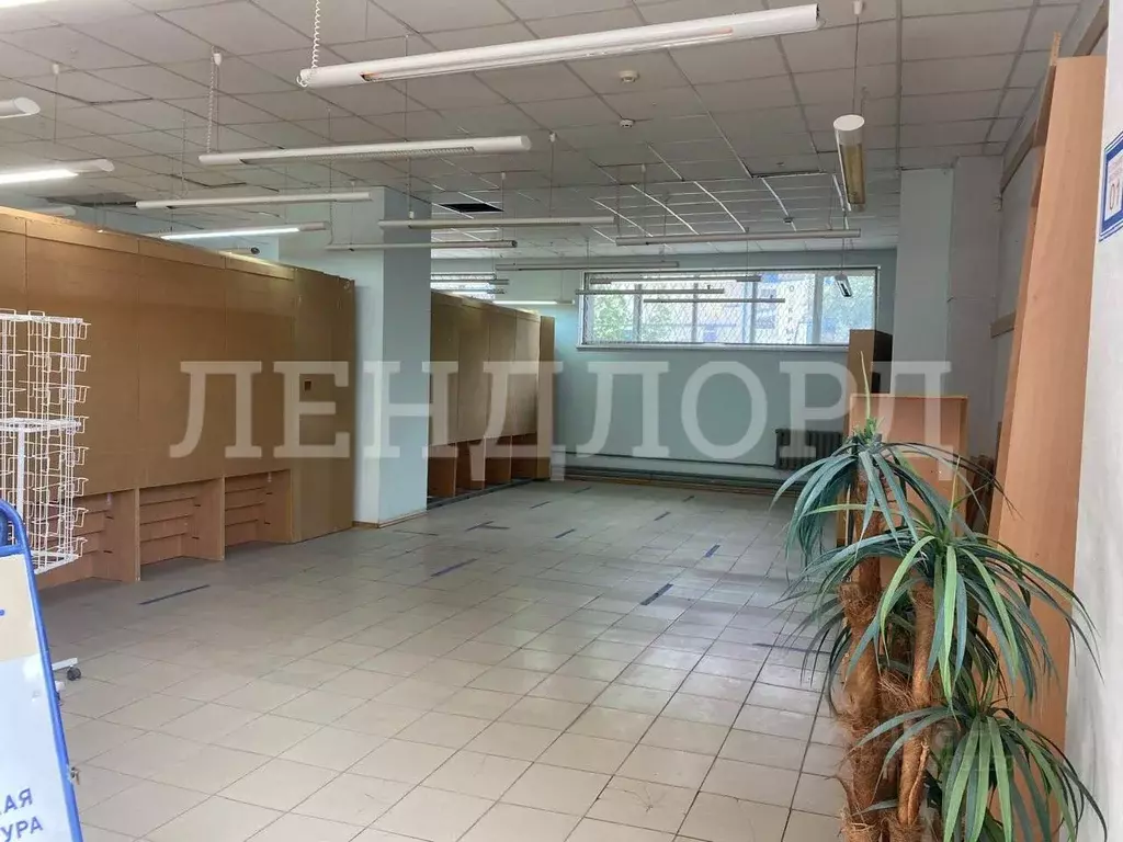 Помещение свободного назначения в Ростовская область, Новочеркасск ул. ... - Фото 1