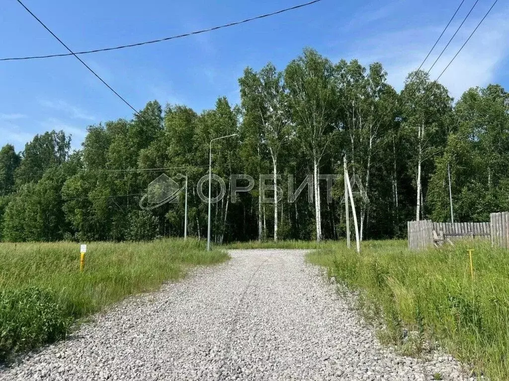 Участок в Тюменская область, Тюменский район, д. Падерина  (8.0 сот.) - Фото 1