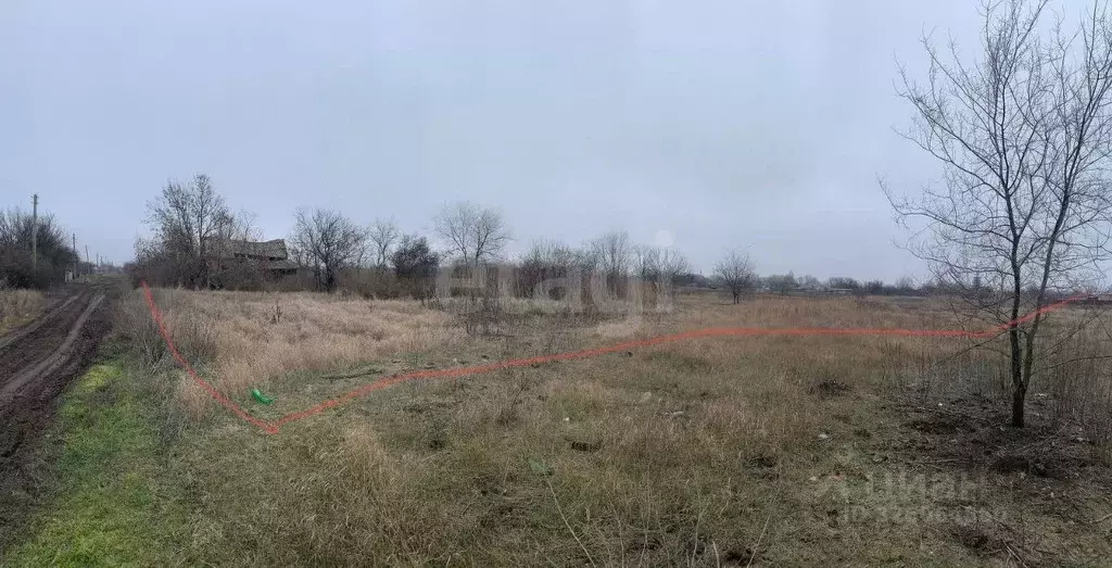 Участок в Ростовская область, Багаевский район, Манычское с/пос, ... - Фото 1