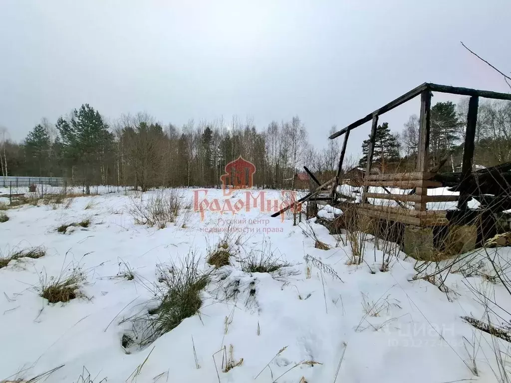 Участок в Владимирская область, Александровский район, Каринское ... - Фото 0