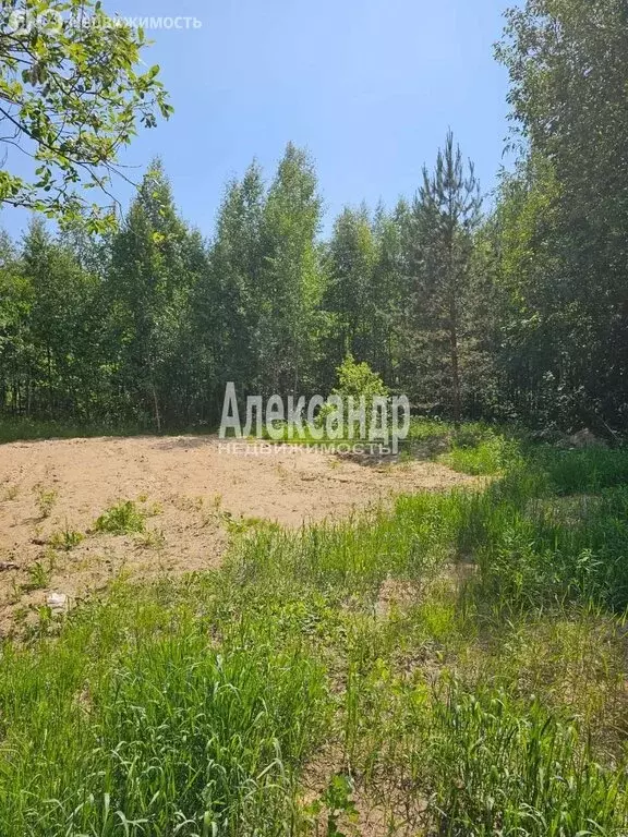 Участок в Лахденпохья, улица Аркадия Маркова (10 м) - Фото 1