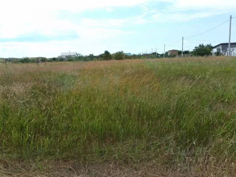 Участок в Крым, Сакский район, Молочненское с/пос, с. Витино ул. ... - Фото 2