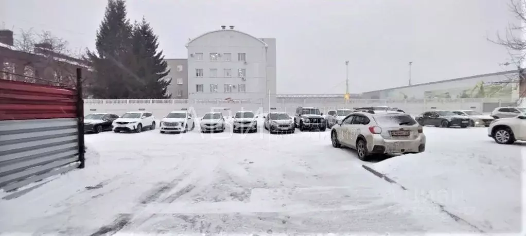 Помещение свободного назначения в Новосибирская область, Новосибирск ... - Фото 2