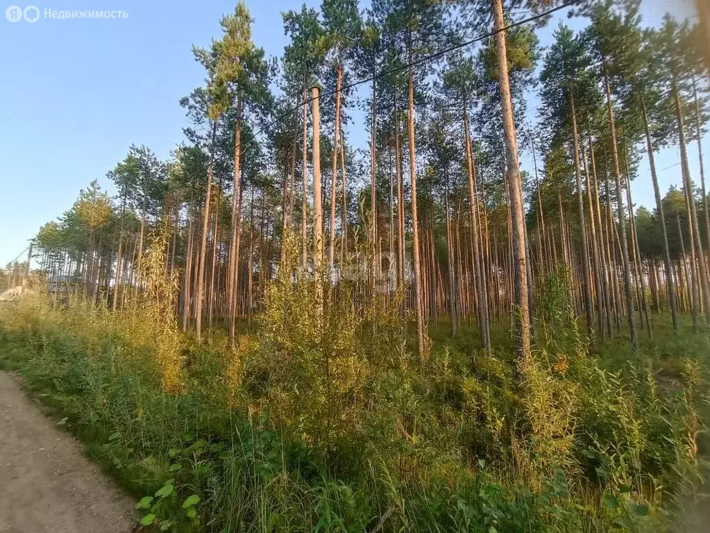 Участок в посёлок городского типа Краснозатонский, Заречная улица ... - Фото 1