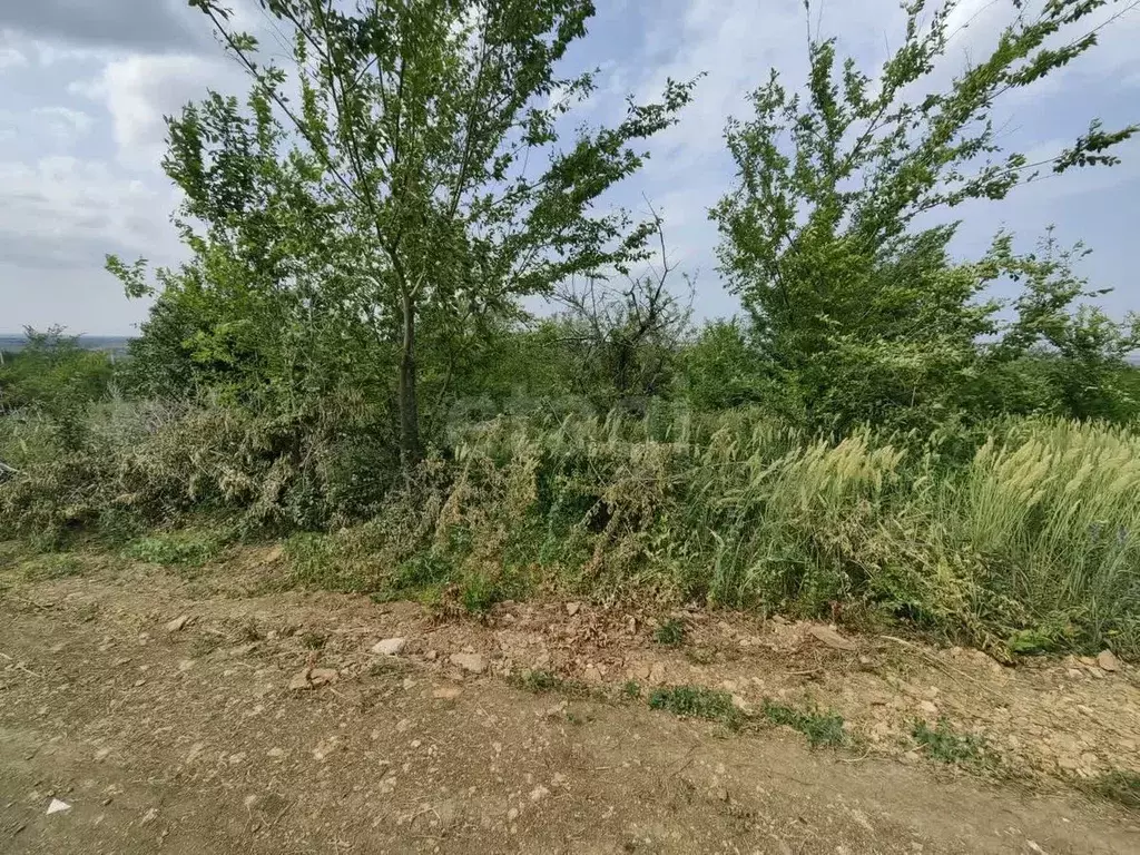 Участок в Ростовская область, Родионово-Несветайский район, ... - Фото 1