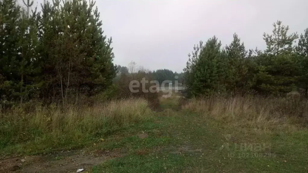 Участок в Ярославская область, Большесельский район, Вареговское ... - Фото 1