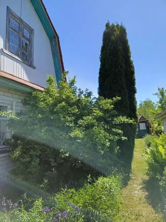 Дом в Нижегородская область, Балахнинский муниципальный округ, ... - Фото 1