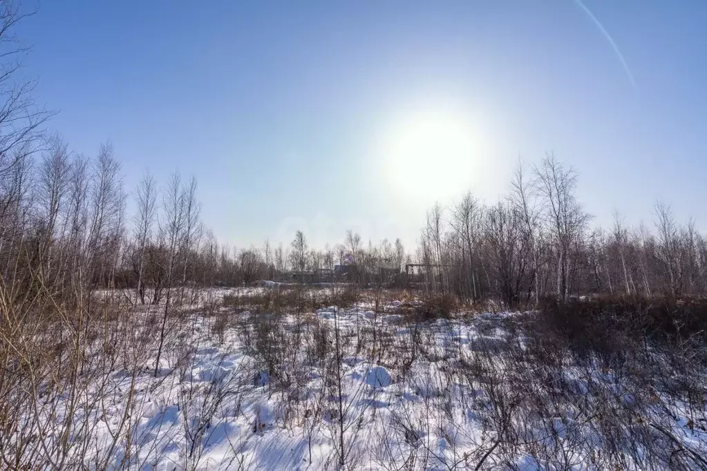 Участок в Хабаровский край, Хабаровский район, с. Мирное  (10.0 сот.) - Фото 1