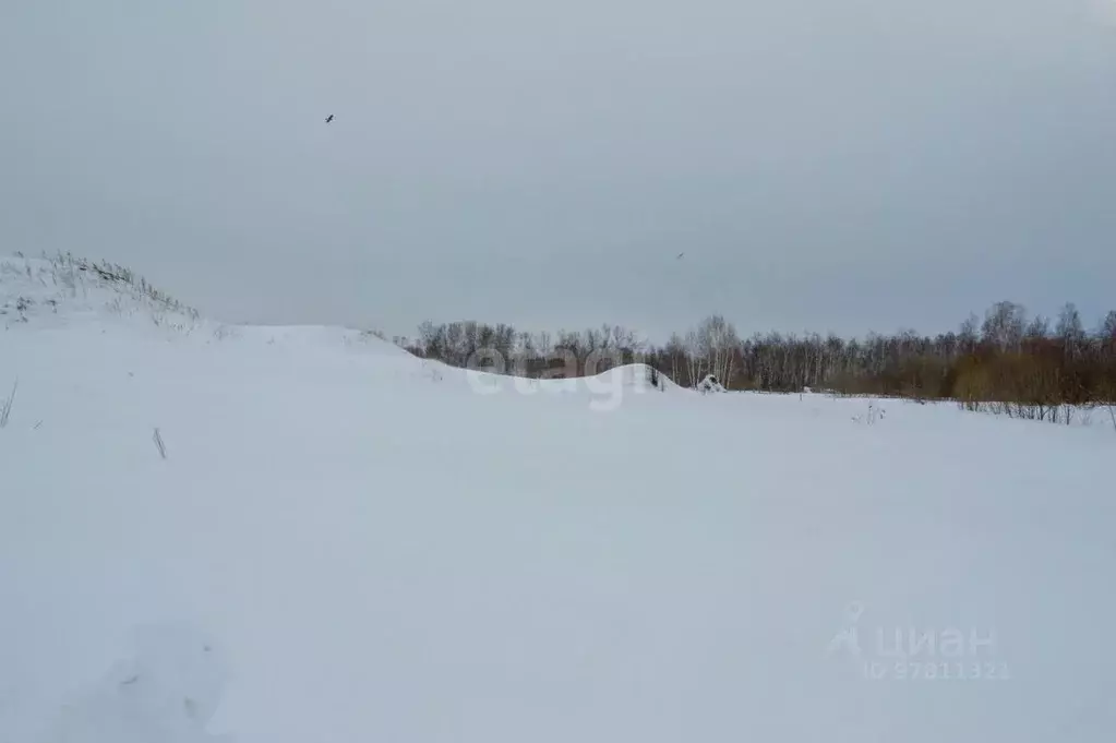 Участок в Кемеровская область, Прокопьевский район, с. Верх-Егос  ... - Фото 1