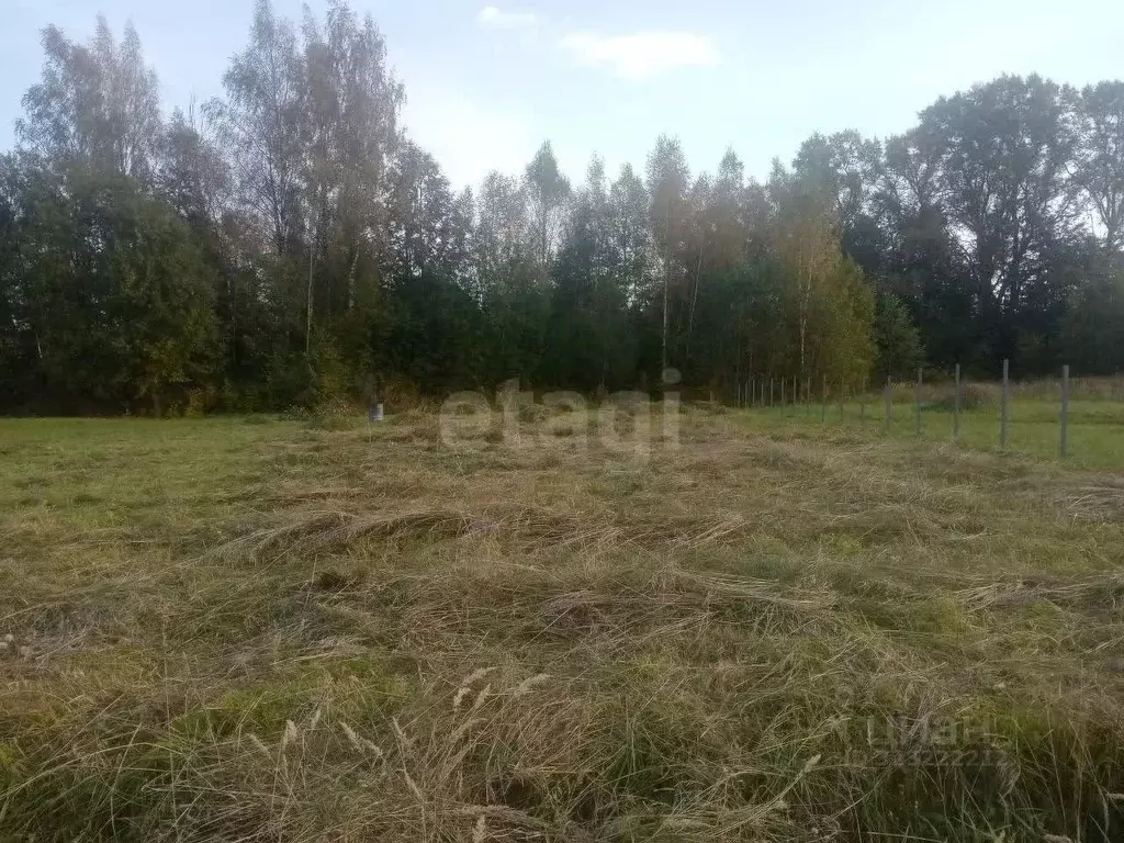 Участок в Ярославская область, Ярославский муниципальный округ, с. ... - Фото 2
