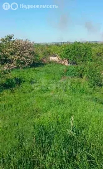 Участок в Саратов, микрорайон Елшанка (15.69 м) - Фото 1