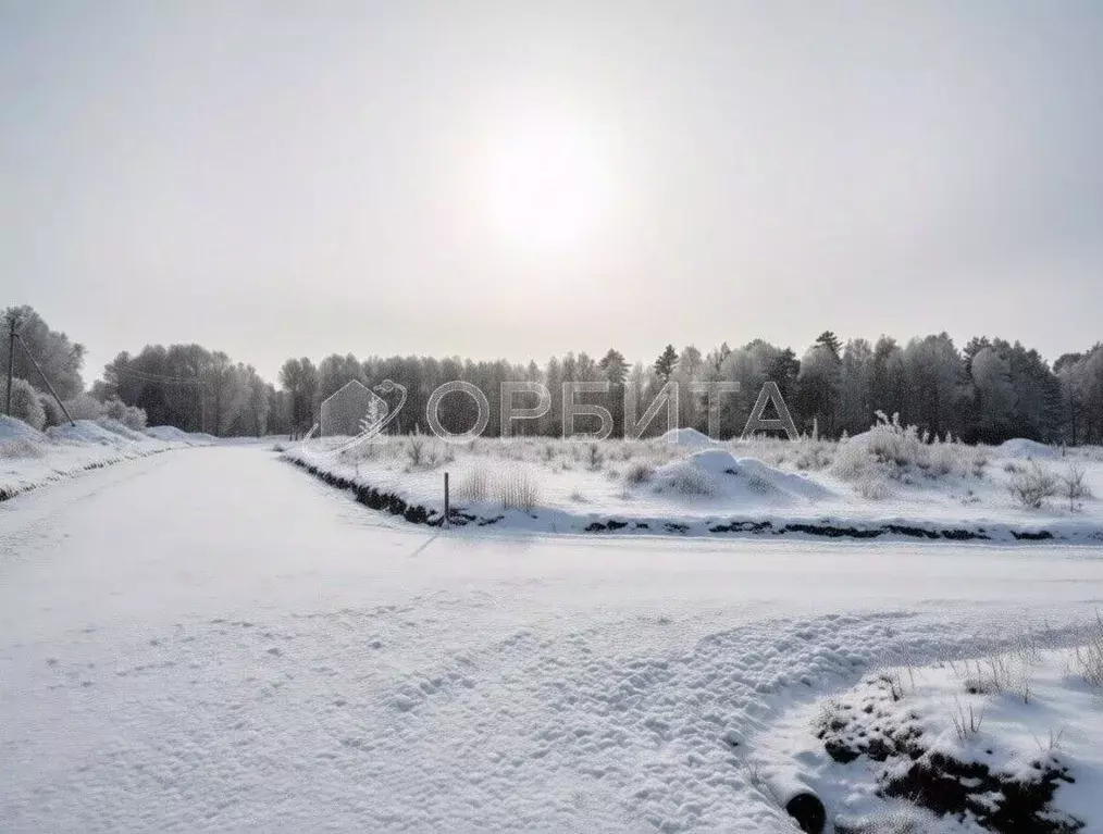 Участок в Тюменская область, Тюменский муниципальный округ, д. Елань ... - Фото 1