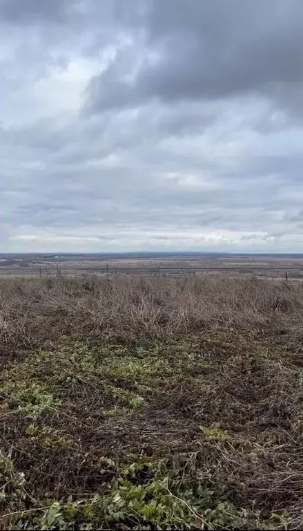 Участок в Владимирская область, Гороховец ул. Калинина, 35 (13.8 сот.) - Фото 1