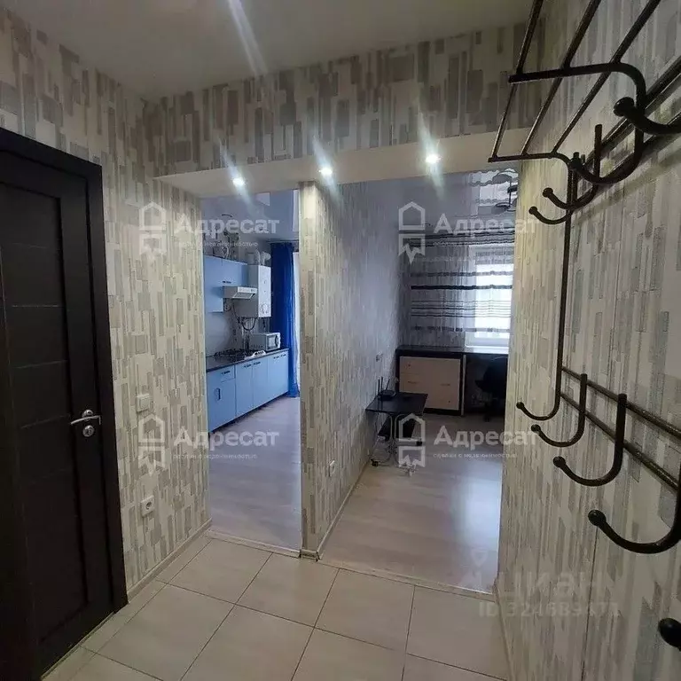 1-к кв. Волгоградская область, Волгоград ул. Добрушина, 14 (26.8 м) - Фото 2