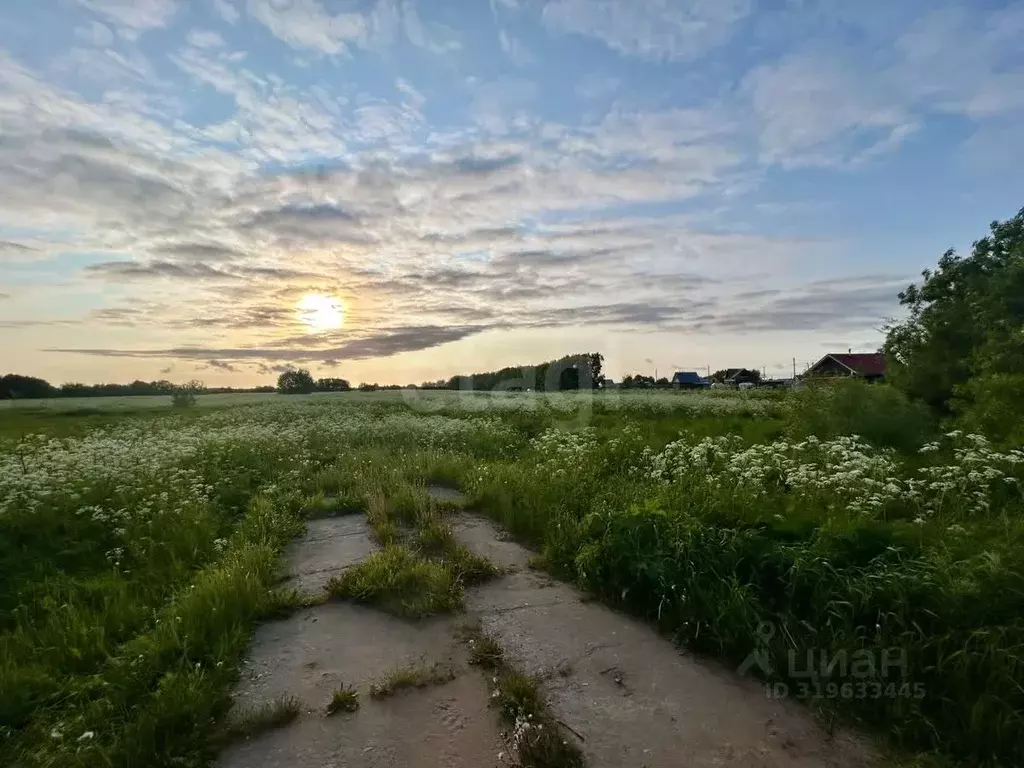 Участок в Архангельская область, Приморский муниципальный округ, д. ... - Фото 1