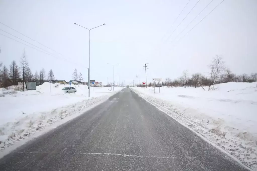 Участок в Ямало-Ненецкий АО, Новый Уренгой Лира ДНТ,  (6.14 сот.) - Фото 0