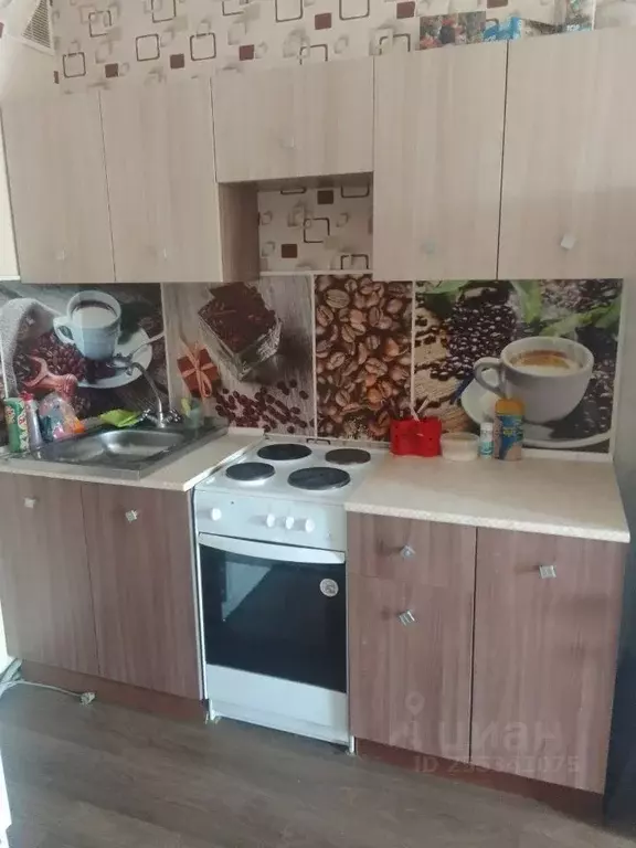 Студия Удмуртия, Ижевск Заречное ш., 19 (25.0 м) - Фото 0