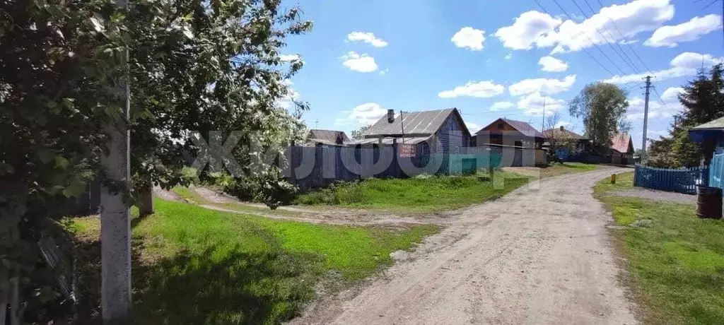 Дом в Новосибирская область, Колыванский район, д. Юрт-Ора Горская ул. ... - Фото 1