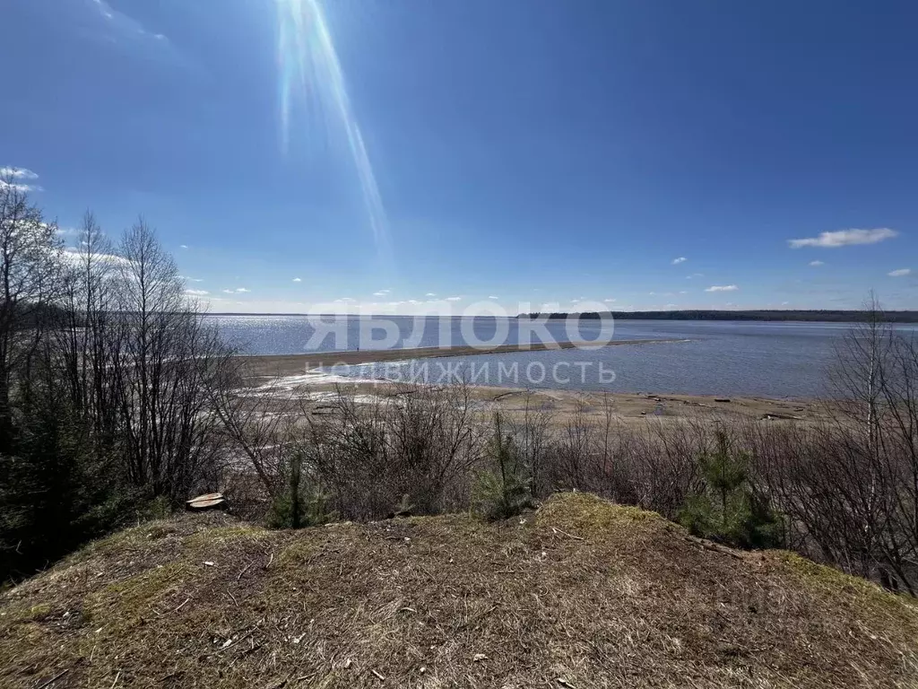 Дом в Пермский край, Березники муниципальное образование, д. Пешково ... - Фото 1