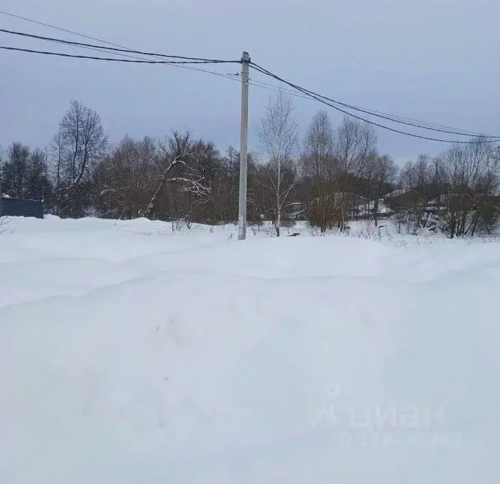 Участок в Московская область, Чехов муниципальный округ, с. Пешково  ... - Фото 2