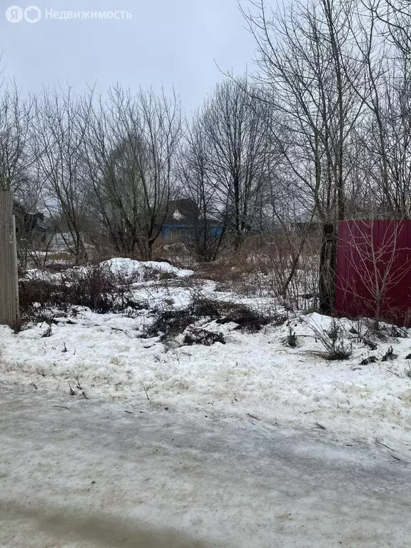 Участок в Нижегородская область, городской округ Бор, село Ивановское ... - Фото 1