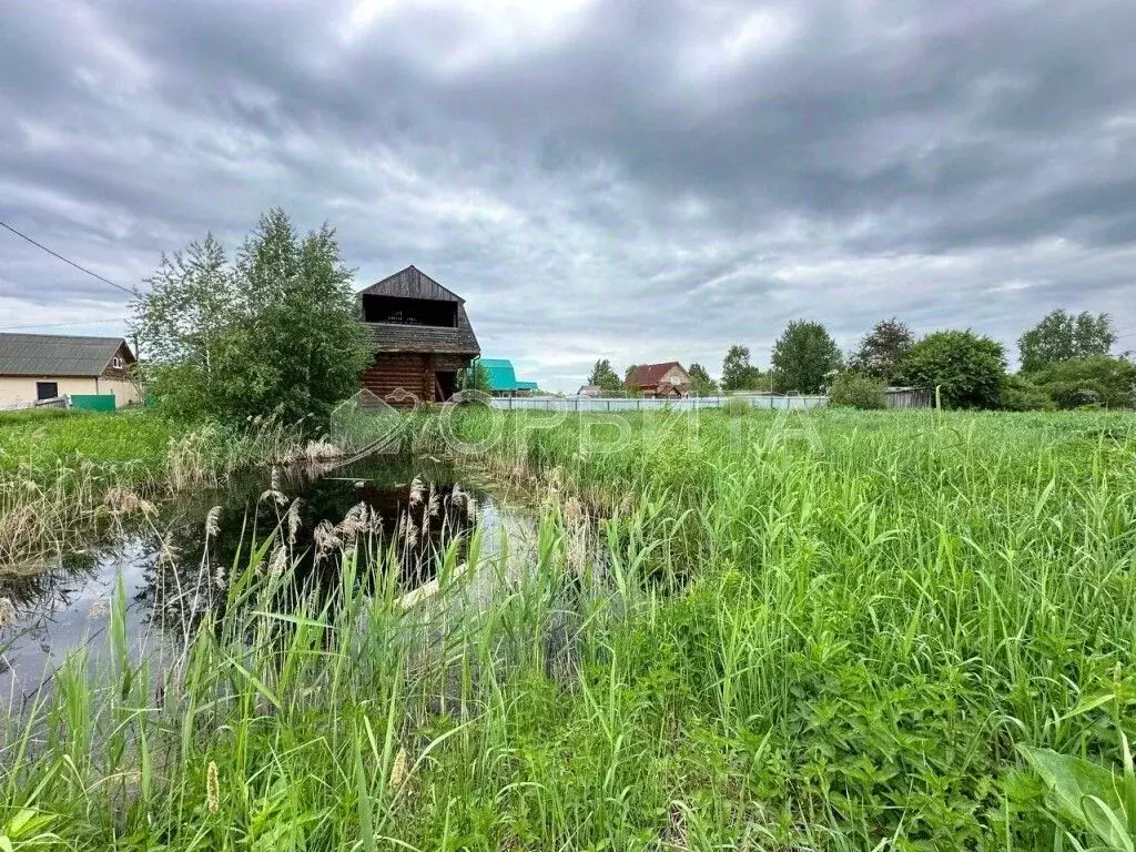 Участок в Тюменская область, Тюмень Садовое товарищество Липовый ... - Фото 1