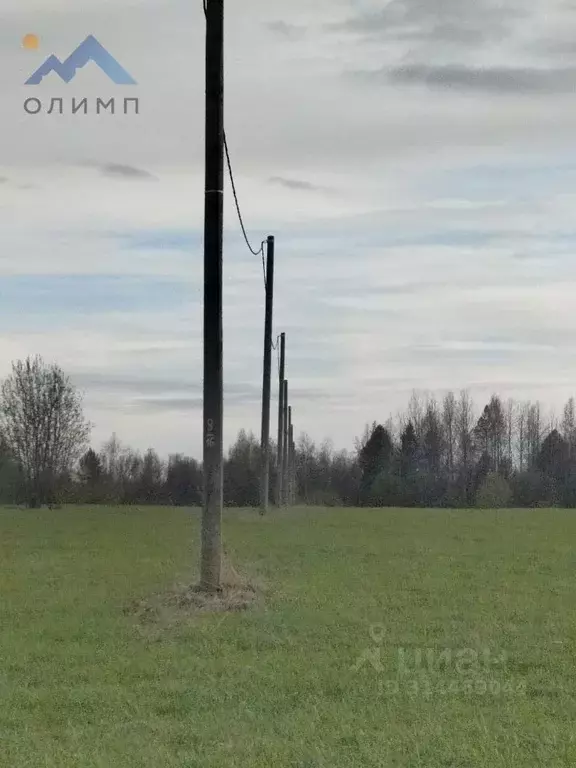 Участок в Вологодская область, д. Сараево (Борисовский сельсовет)  ... - Фото 1