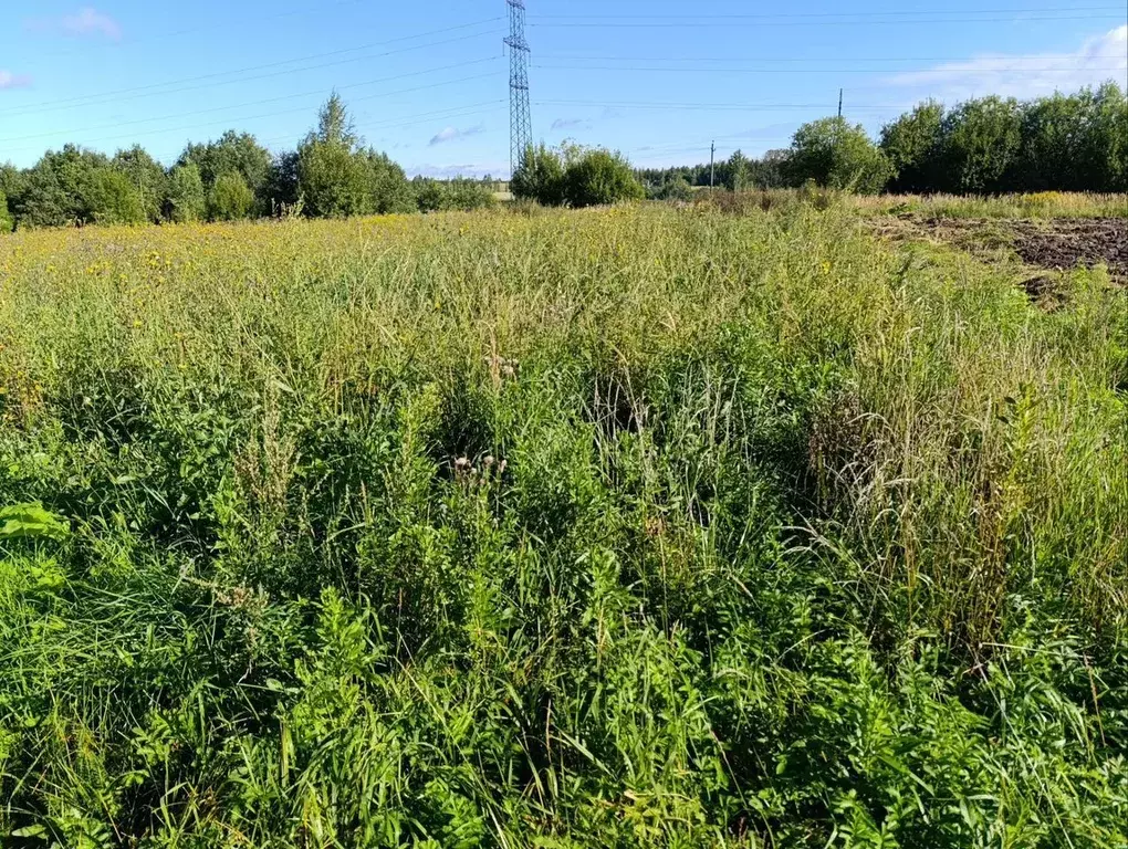 Участок в Московская область, Сергиево-Посадский городской округ, с. ... - Фото 0