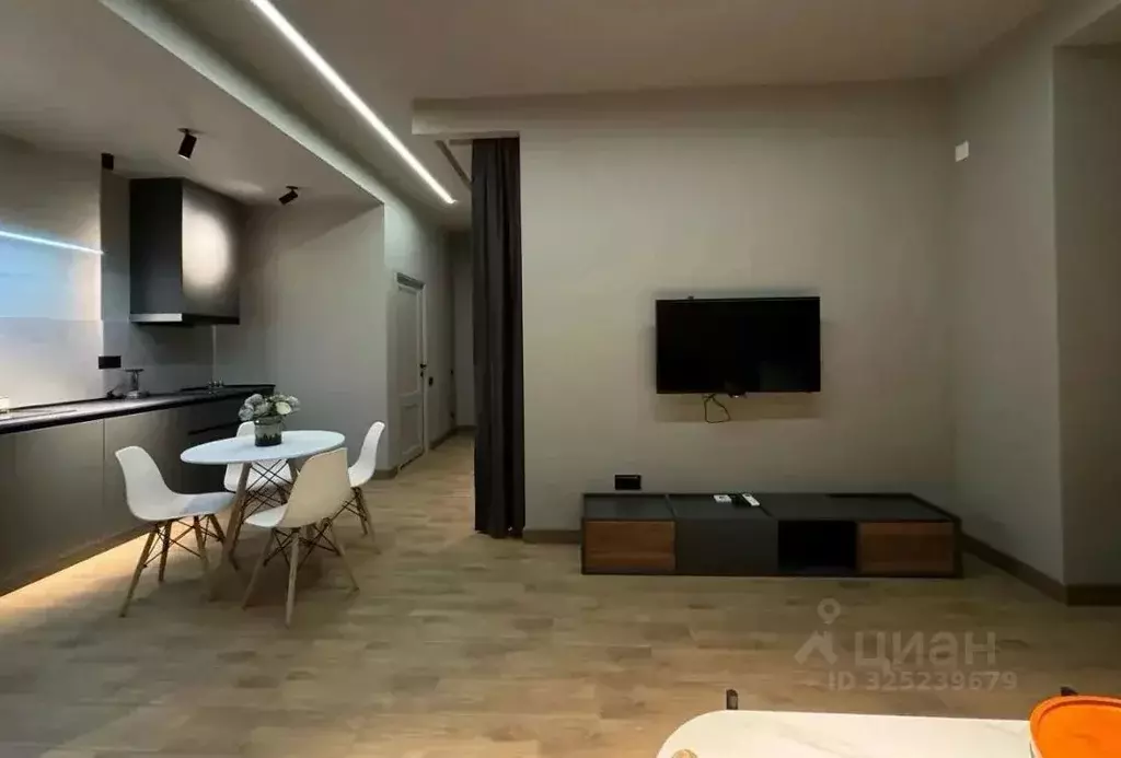 1-к кв. Краснодарский край, Краснодар Центральный мкр, наб. ... - Фото 2