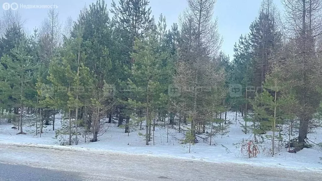 Участок в село Альдермыш, улица Хабибуллина (1000 м) - Фото 1