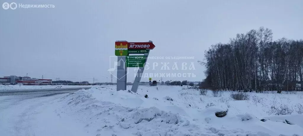 Участок в село Ягуново, Садовая улица, 46 (15 м) - Фото 1