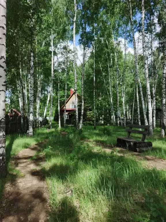 Дом в Нижегородская область, Лысковский район, Бор с/пос ул. ... - Фото 2