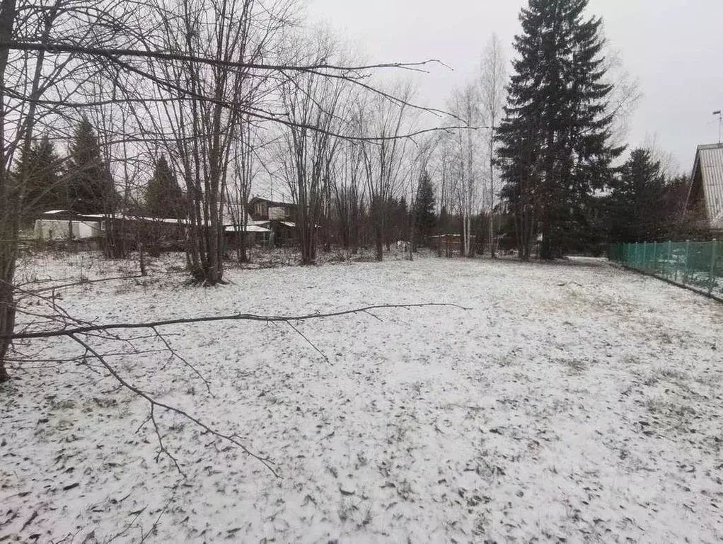 Участок в Пермский край, Пермский муниципальный округ, Чистые Ключи ... - Фото 1