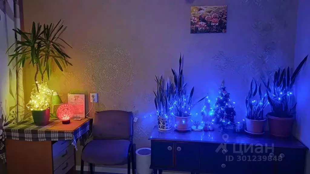 Комната Санкт-Петербург Будапештская ул., 66К1 - Фото 2