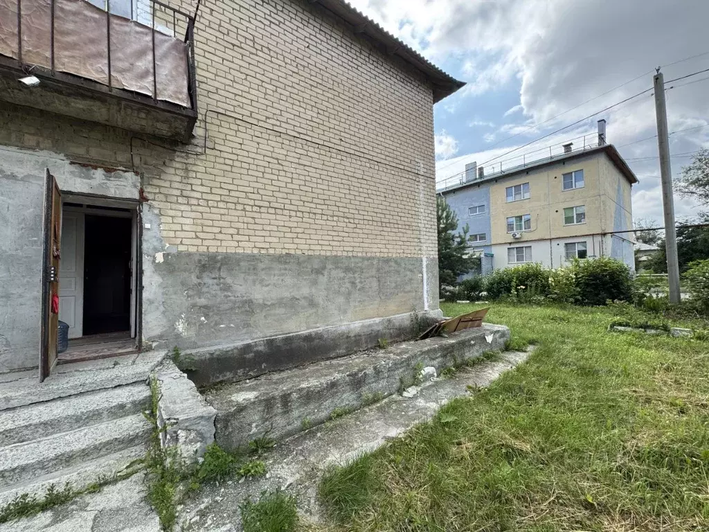 Помещение свободного назначения в Челябинская область, Коркинский ... - Фото 1