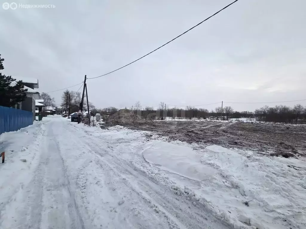 Участок в Архангельская область, Приморский муниципальный округ, ... - Фото 2