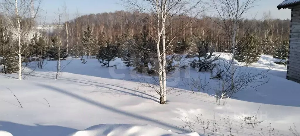 Участок в Томская область, Томский район, д. Новомихайловка, Кедры ДНП ... - Фото 2