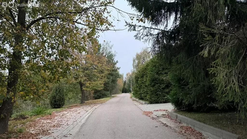 Участок в Московская область, городской округ Коломна, деревня Шапкино ... - Фото 0