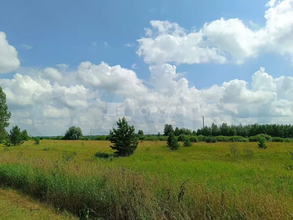 Участок 37,45 га (СНТ, ДНП) - Фото 0