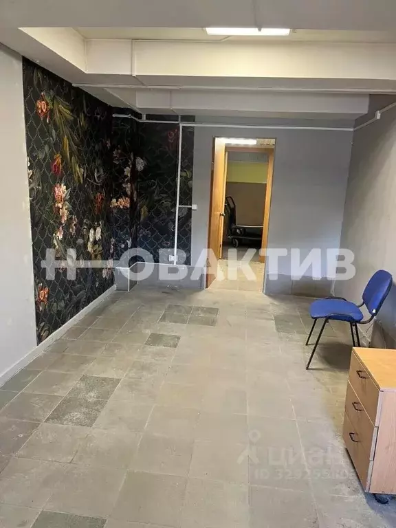 Помещение свободного назначения в Новосибирская область, Новосибирск ... - Фото 1