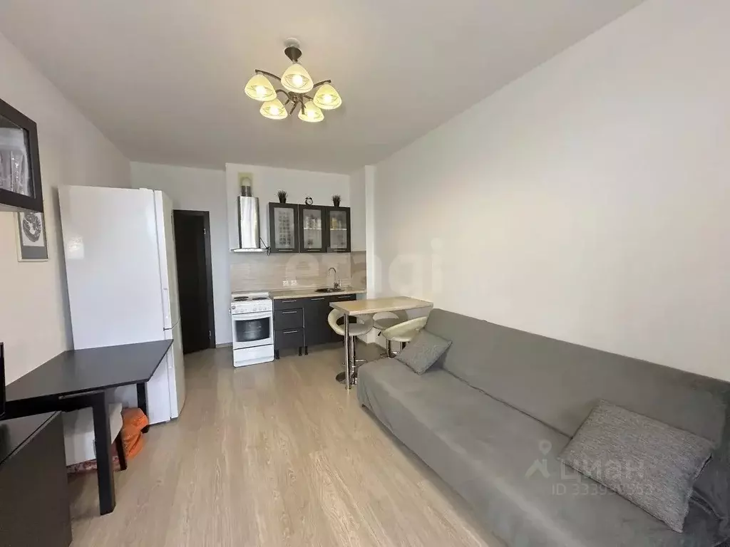 Студия Санкт-Петербург Союзный просп., 4 (24.2 м) - Фото 1