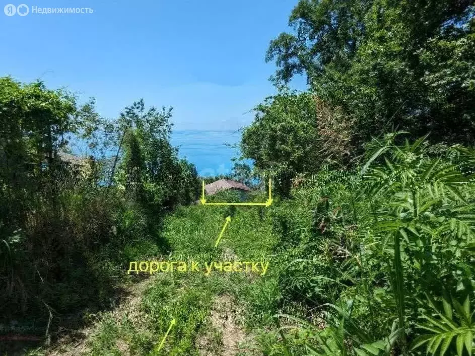 Участок в Сочи, СТ Восточное (6 м) - Фото 0