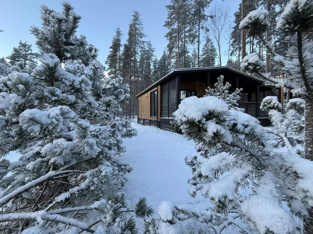 Дом в Ленинградская область, Выборгский район, Полянское с/пос, пос. ... - Фото 1